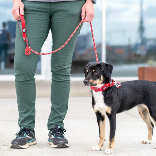 Laisse urban rope ronde ROUGE pour chien