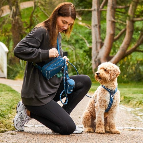 Laisse urban rope ronde en corde BLEU OCÉAN pour chien, solide