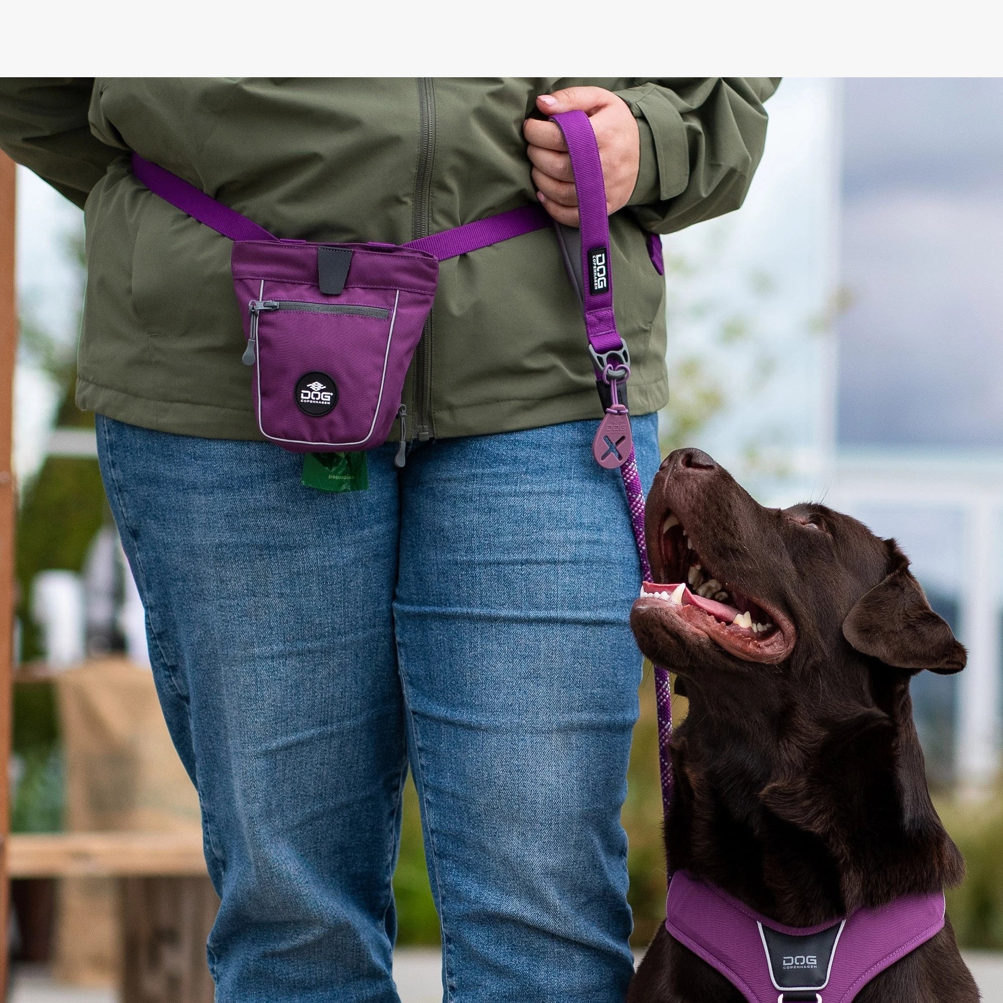 Laisse corde pour chien ronde urban rope PASSION, ultra solide