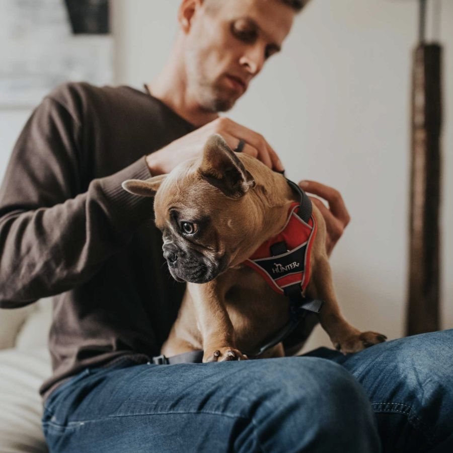 Harnais Divo pour chien qui tire ROUGE