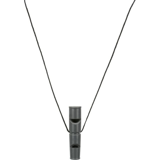 image 1.png