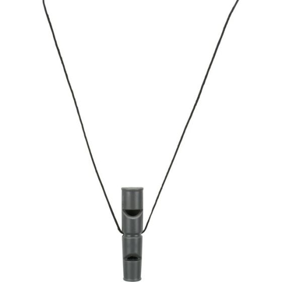 image 1.png