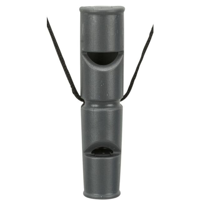 image 1.png