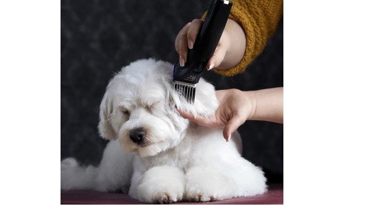 La gamme de Tondeuse Moser est-elle Professionnelle ?