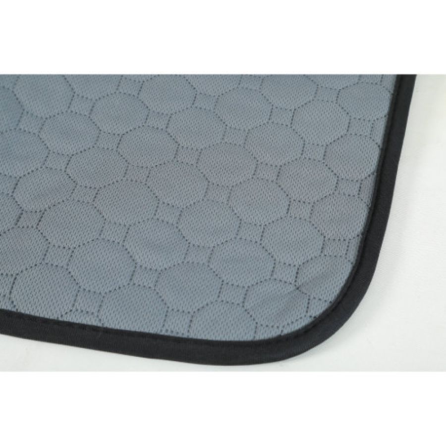 Tapis de propreté lavable pour chien