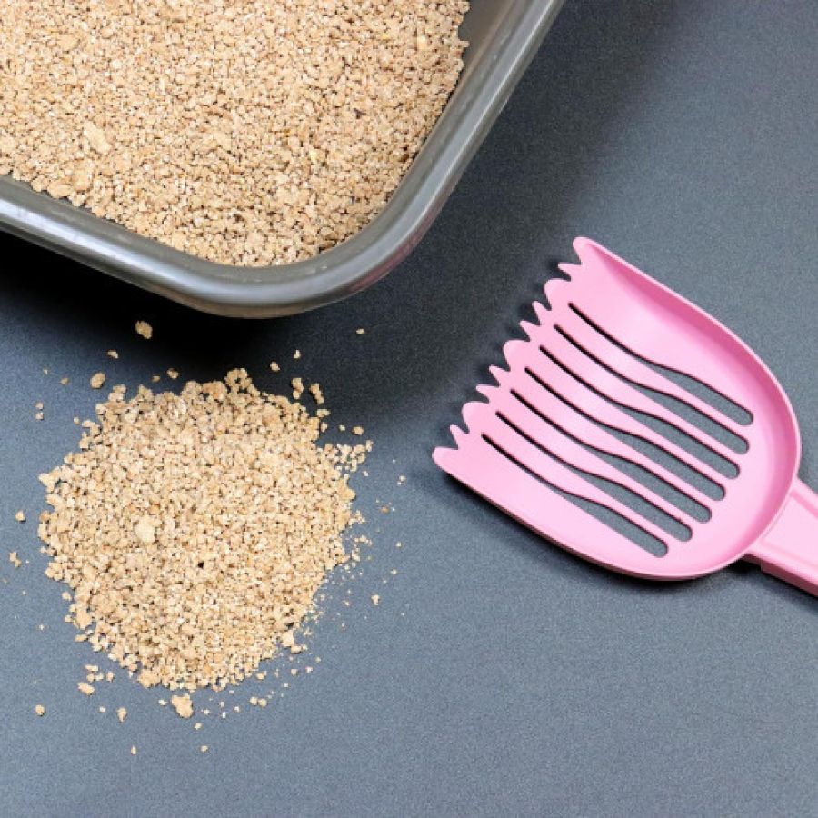 Litière pour chat eco clean 10 litres