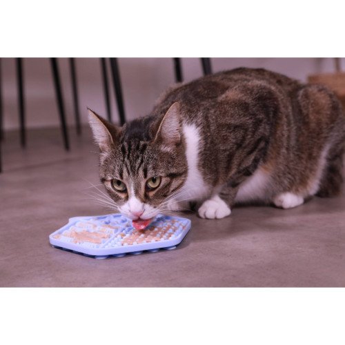 Tapis de léchage anti glouton Chat&Chien