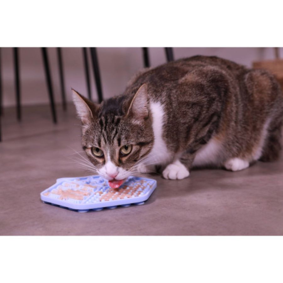 Tapis de léchage anti glouton Chat&Chien