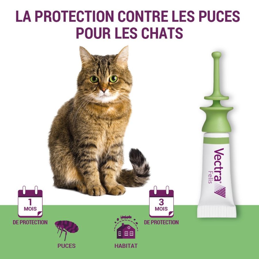 Vectra Felis chat : Pipette anti puce