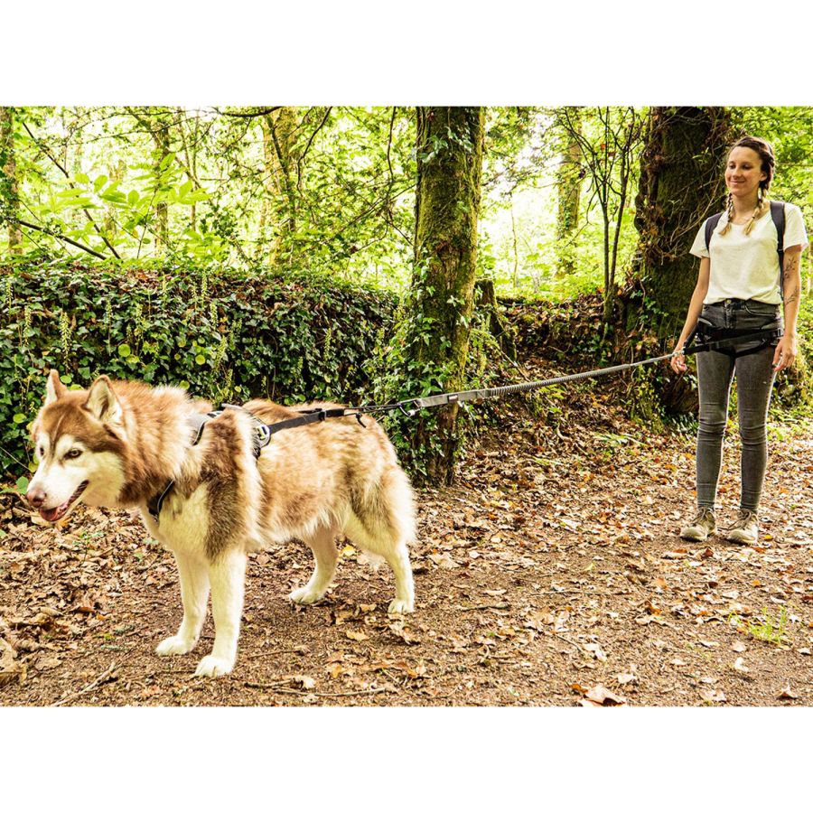 Harnais chien Style UPKA I-Dog gris