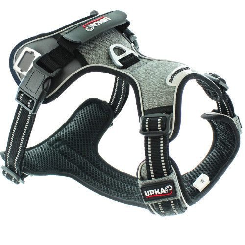 Harnais chien Style UPKA I-Dog gris
