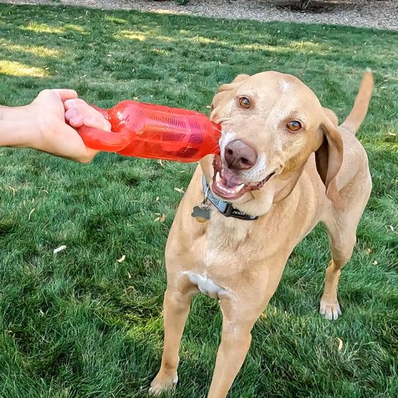 Jouet KONG jumbler tug