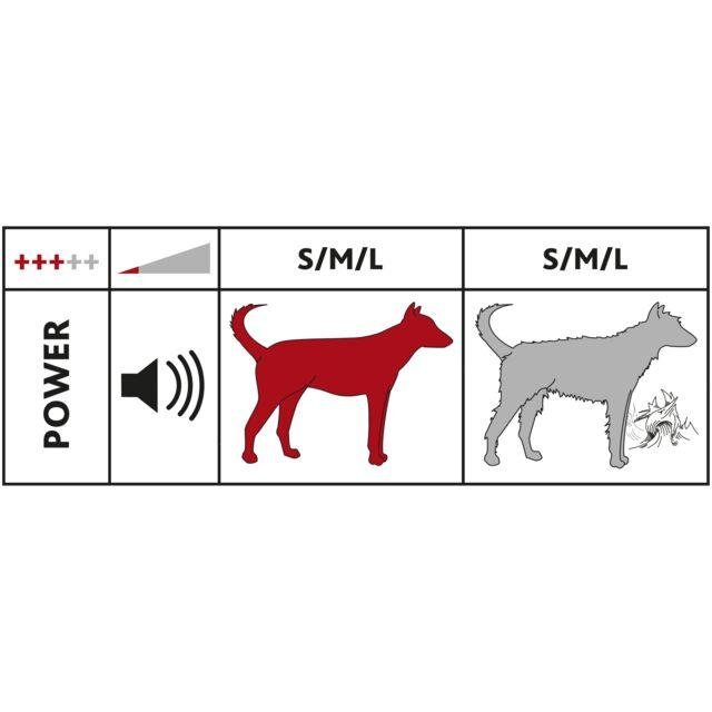 Brosse aspirateur chien : tondeuse