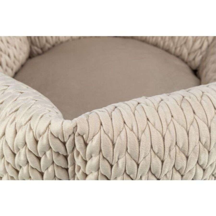 Panier pour petit chien : Chien moyen et chiot confort LIVIA