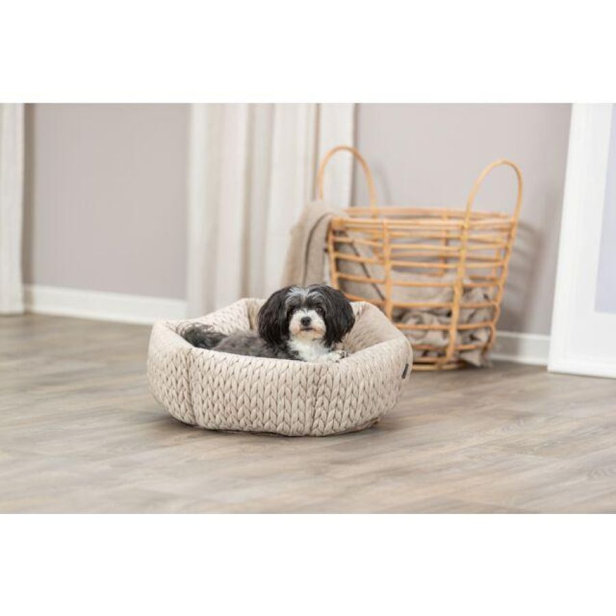 Panier pour petit chien : Chien moyen et chiot confort LIVIA