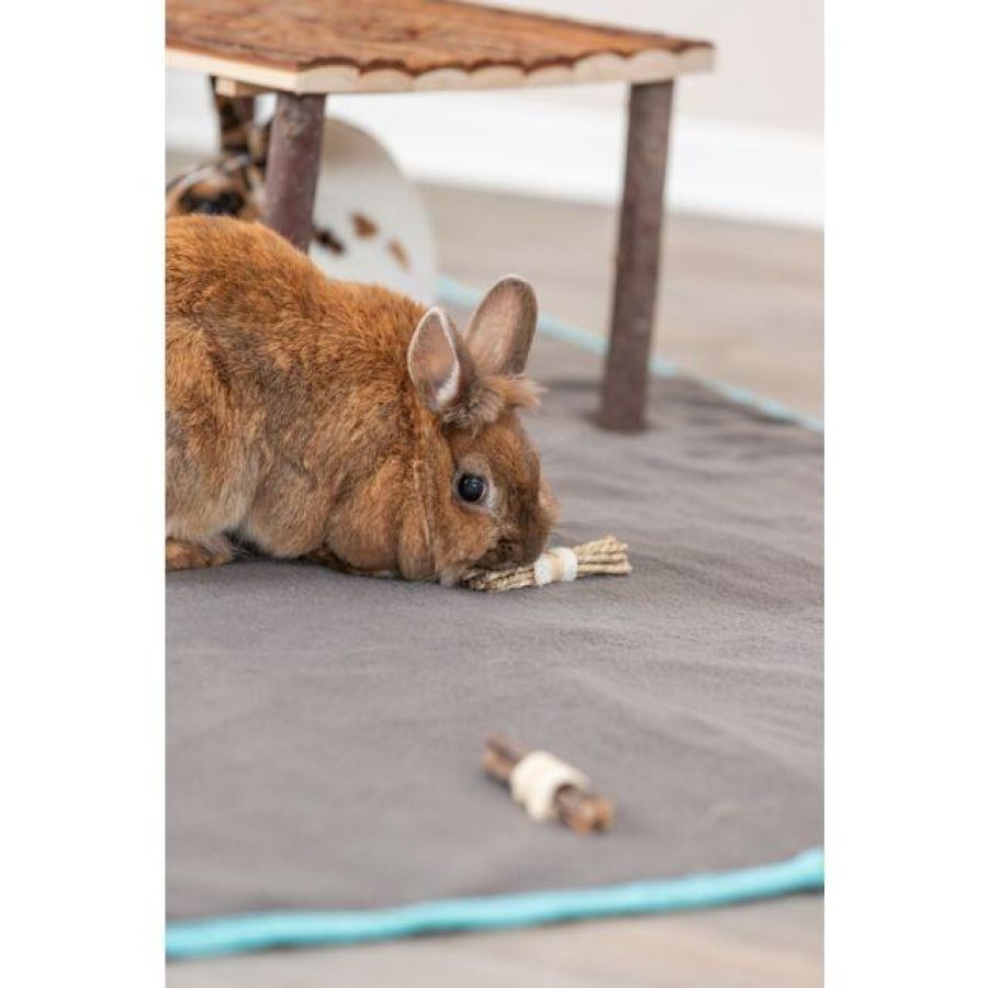 Jouet pour lapin nain naturel, algue et bois, luffa