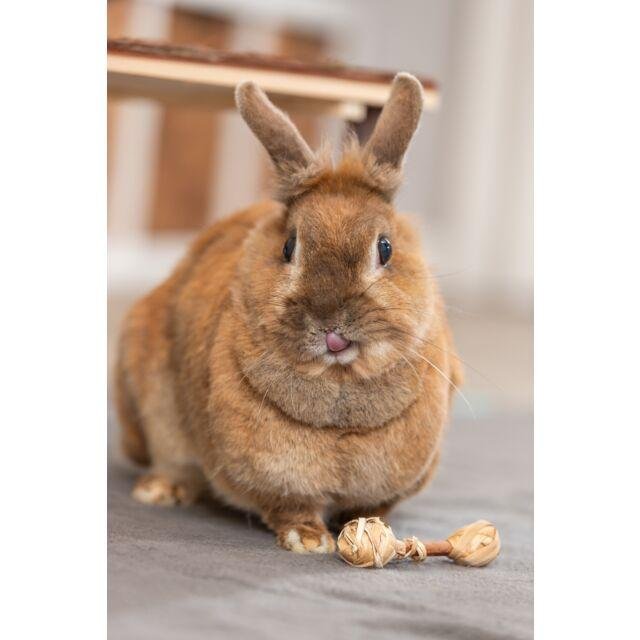 Jouet haltères bois et herbe lapin nain