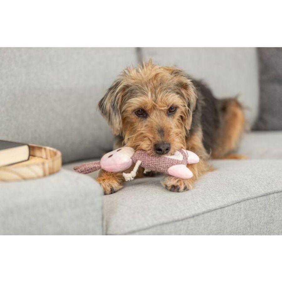 Doudou peluche pour chien lapin