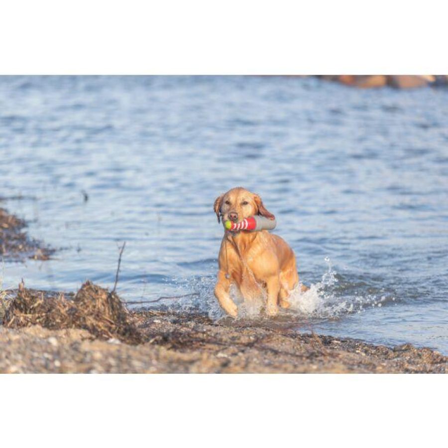 Jouet d'eau Phare avec corde pour chien