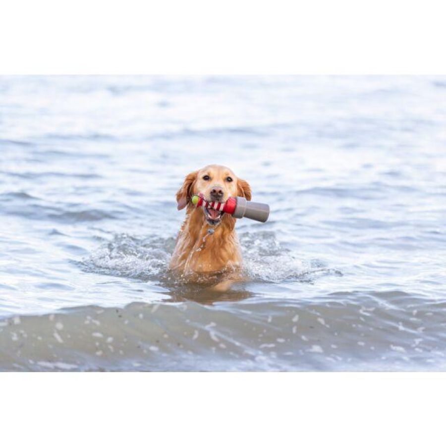 Jouet d'eau Phare avec corde pour chien