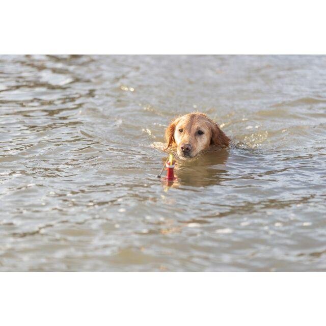 Jouet d'eau bouée sur corde
