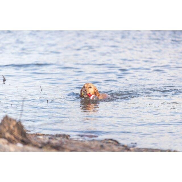 Jouet d'eau bouée sur corde
