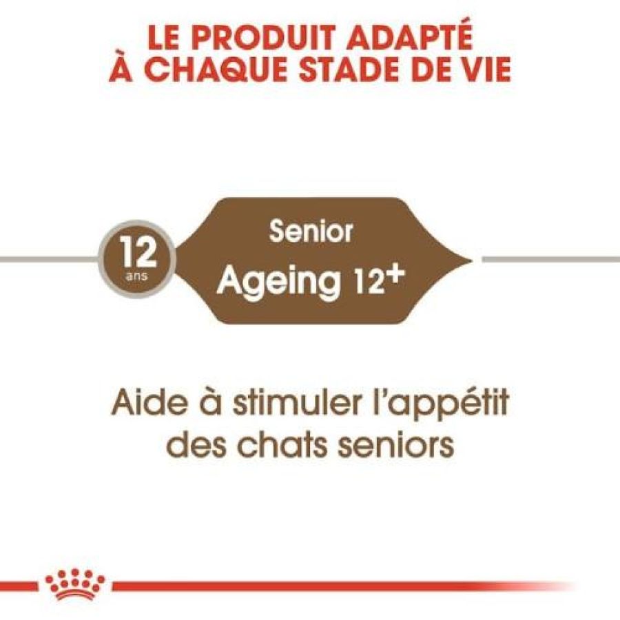 Croquettes royal canin chat ageing 12+