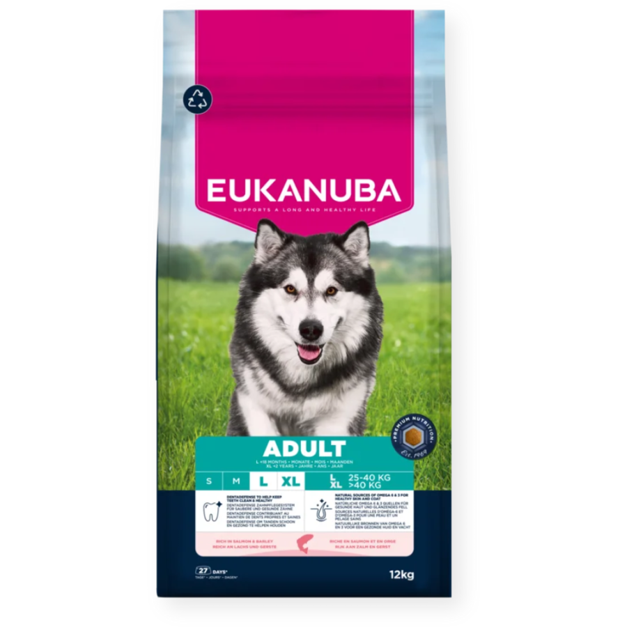 Croquettes Eukanuba adult grand chien au saumon