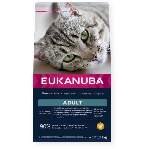 Croquettes chat adult Eukanuba au poulet