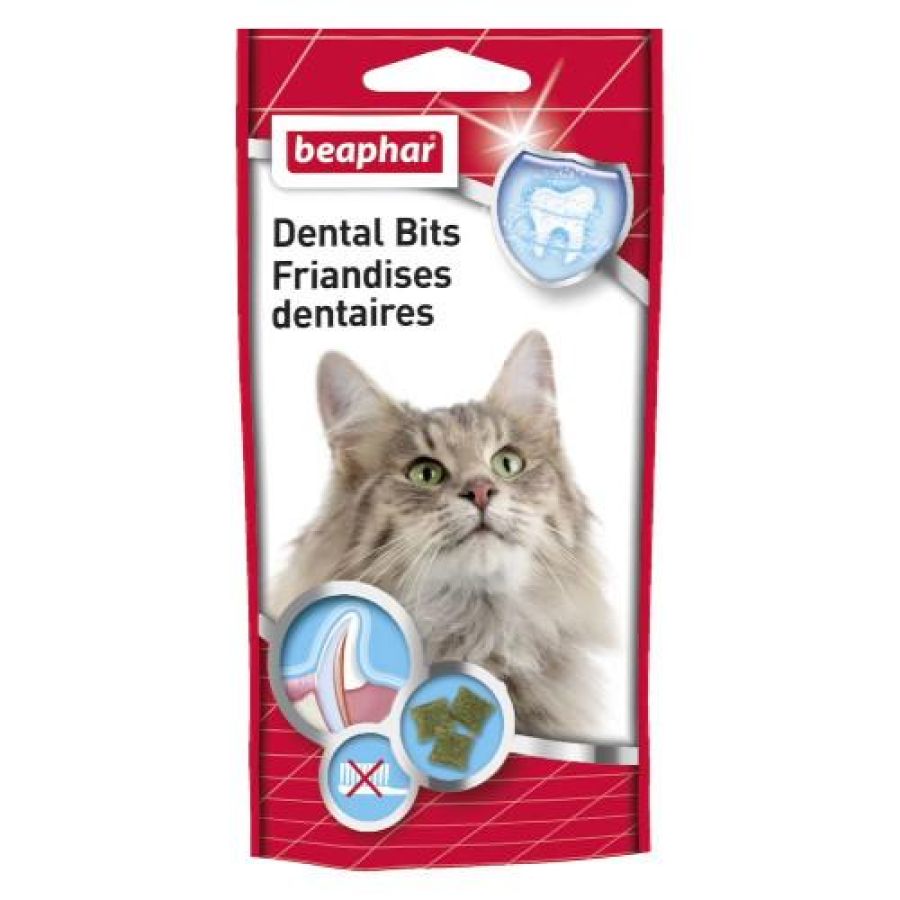 Friandises dentaires pour chat
