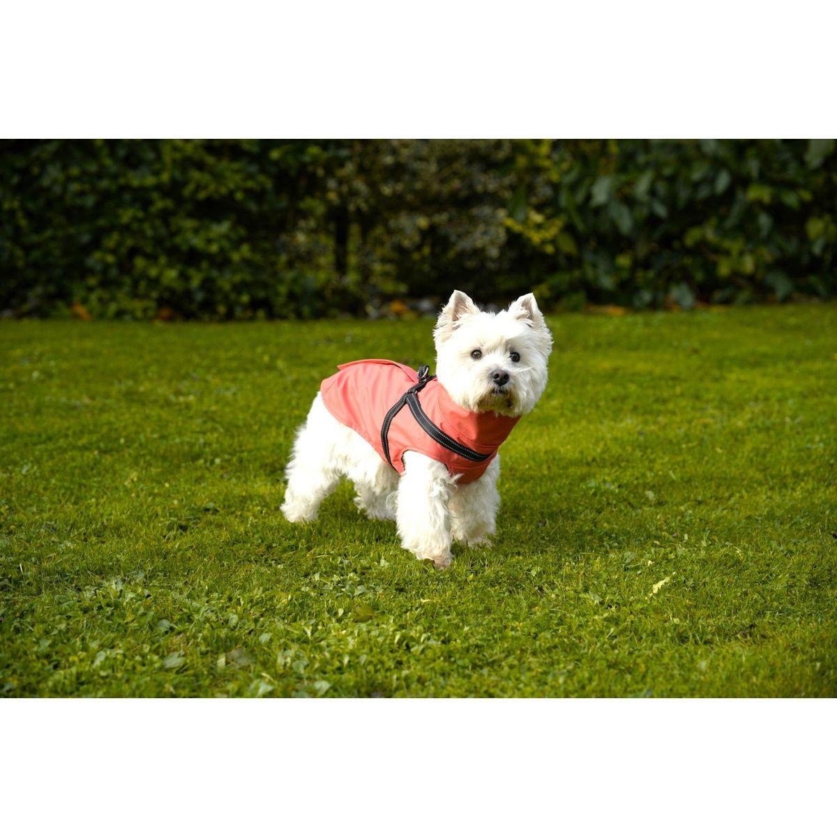Imperméable avec harnais intégré Tom corail