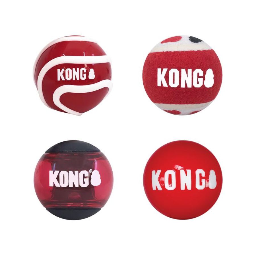 Lot de 4 Balles KONG signature Medium