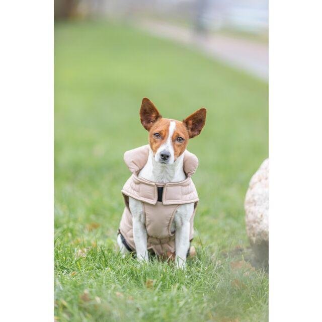 Manteau pour chien imperméable et chaud Lesmont