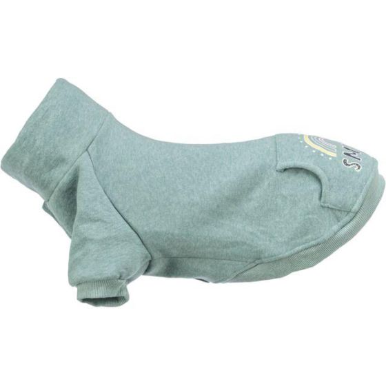 Sweat pour chien Littleton