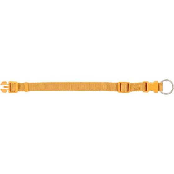 Colliers Premium pour petit et grand Chien Curry