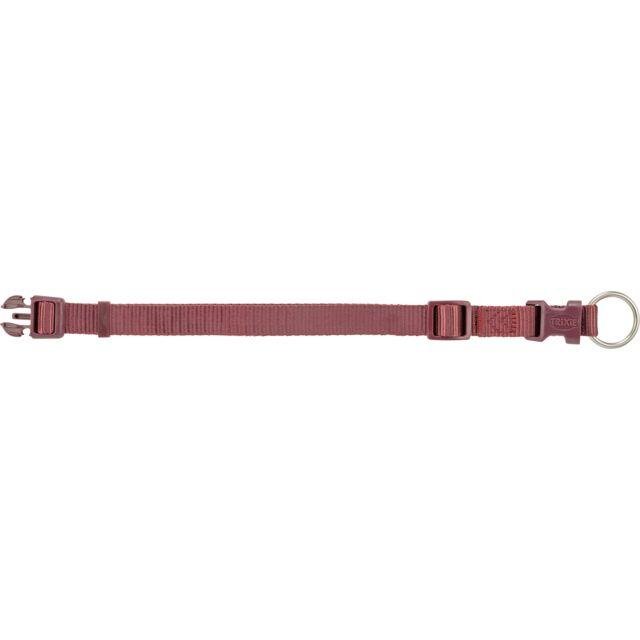Collier Premium pour Chien Sangria