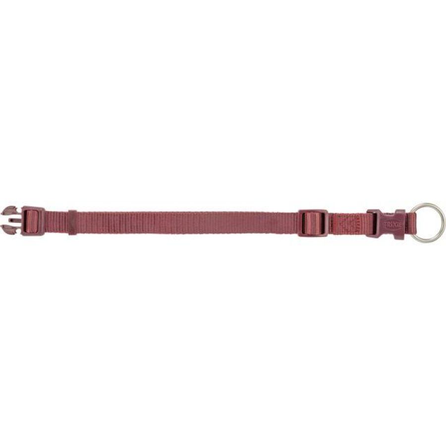 Collier Premium pour Chien Sangria