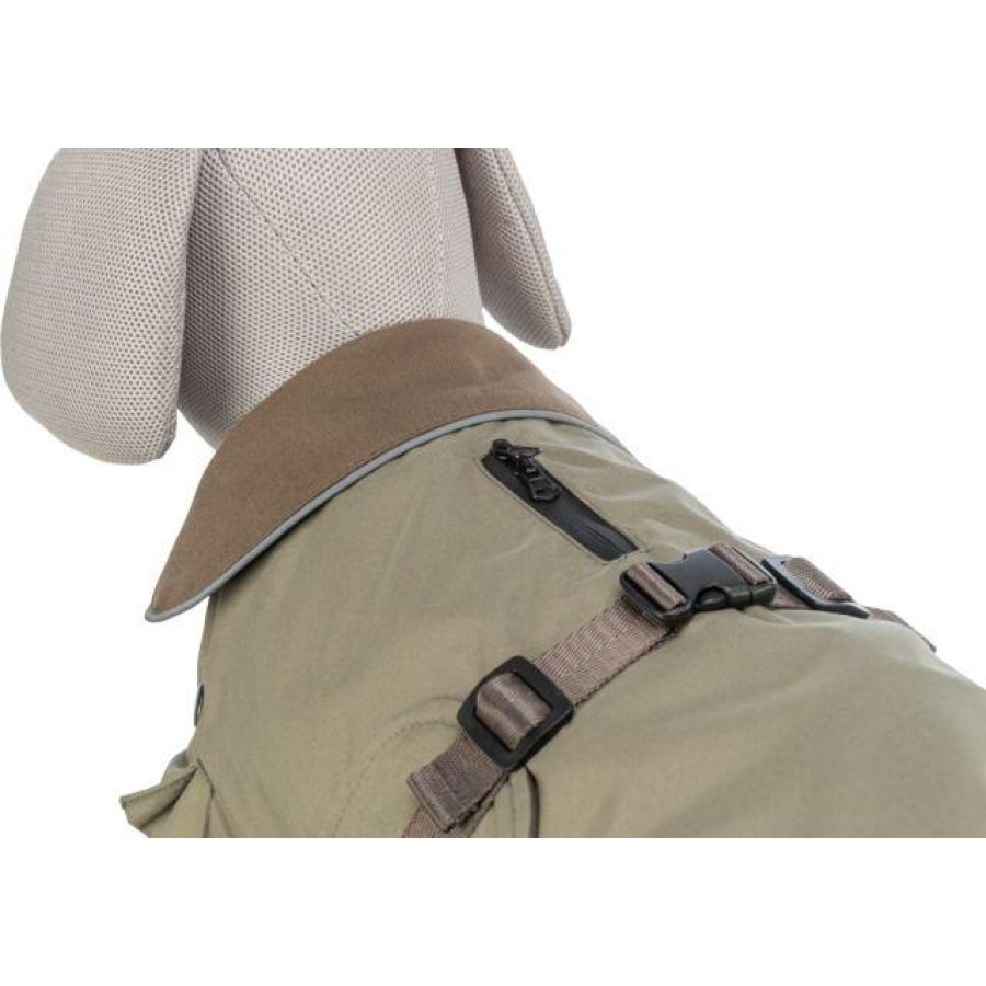 Manteau teckel : coupe spéciale hermy vert olive