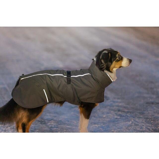 Manteau imperméable réflechissant pour chien limoux