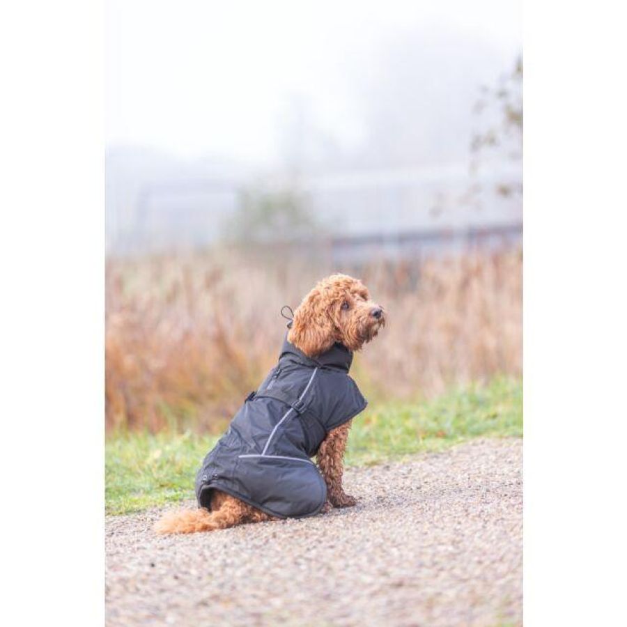 Manteau pour Chien Imperméable avec Doublure Polaire Brizon