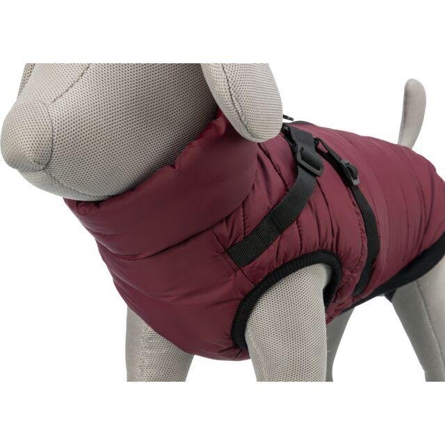 Manteau pour chien avec harnais intégré Pirou