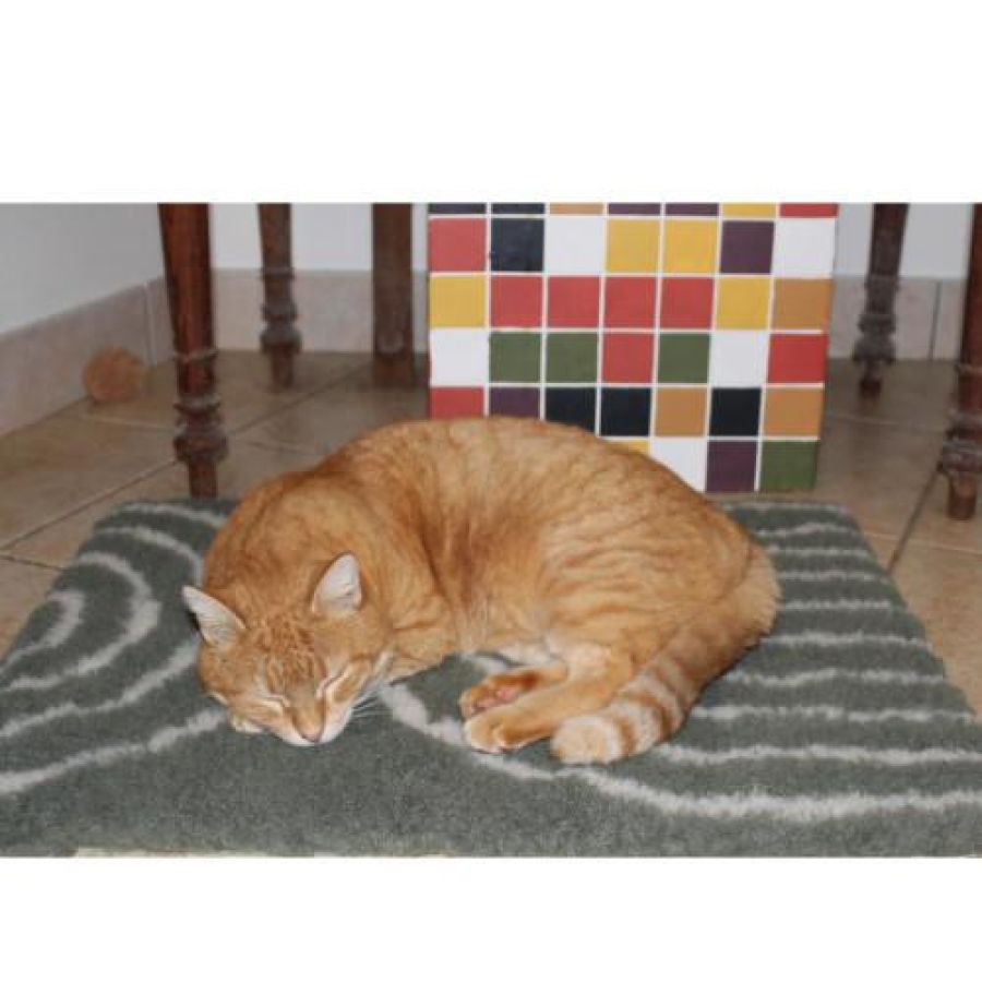 Tapis chauffant chiens, isolant, capte la chaleur