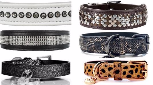 Pourquoi Choisir un Collier de Luxe à son chien ?