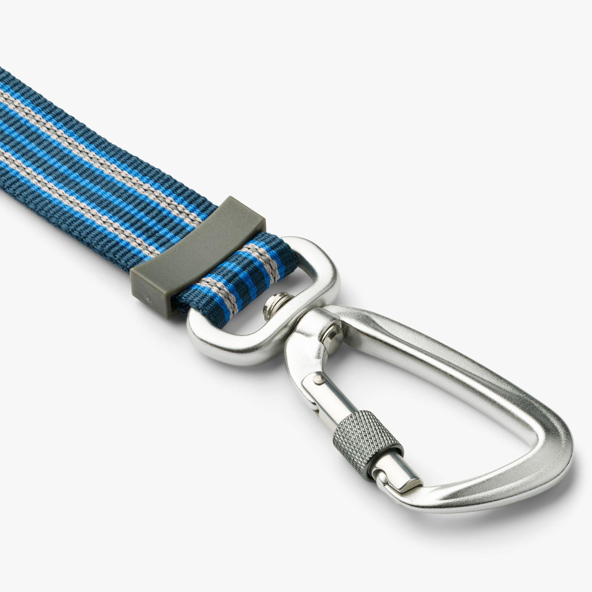 image 5.png
