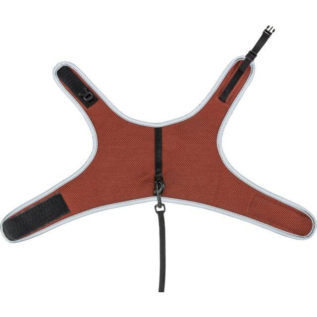 Harnais pour chat XCAT rouille - facile à mettre