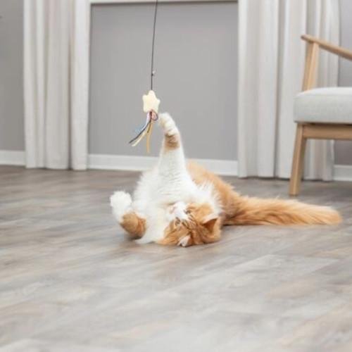 Canne à pêche étoile avec herbe à chat