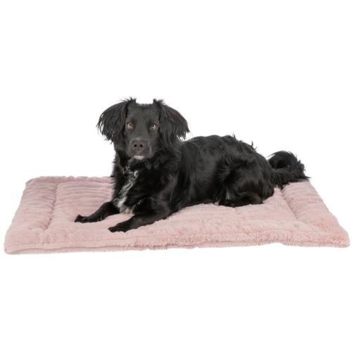 Matelas Lonni pour Chien : Confort, Douillet et Style Moderne