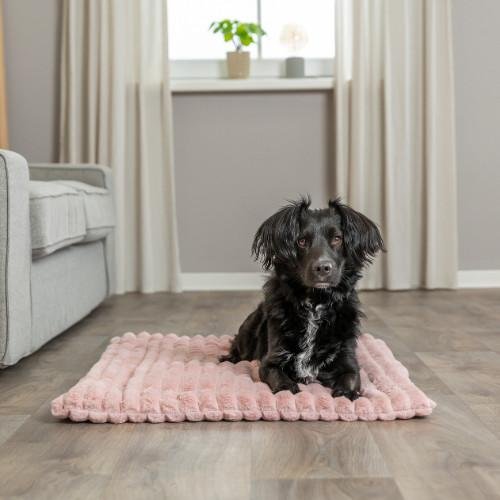Matelas Lonni pour Chien : Confort, Douillet et Style Moderne