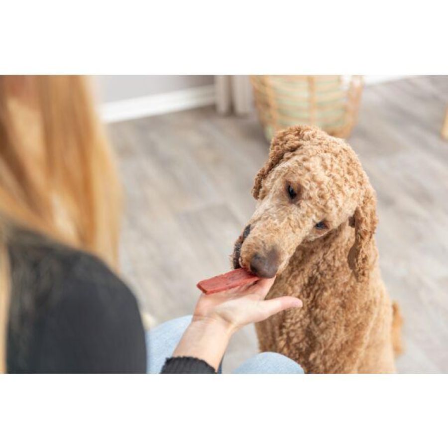 Filets Premio pour chien : 93 % de viande de bœuf