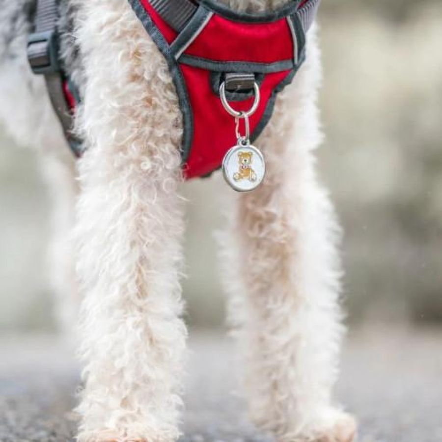 Médaille Red Dingo Motif Ourson